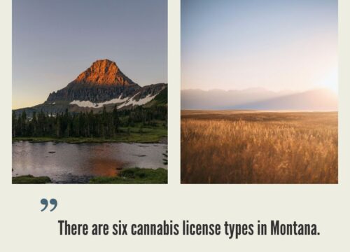 How to Start a Cannabis Business in Montana?