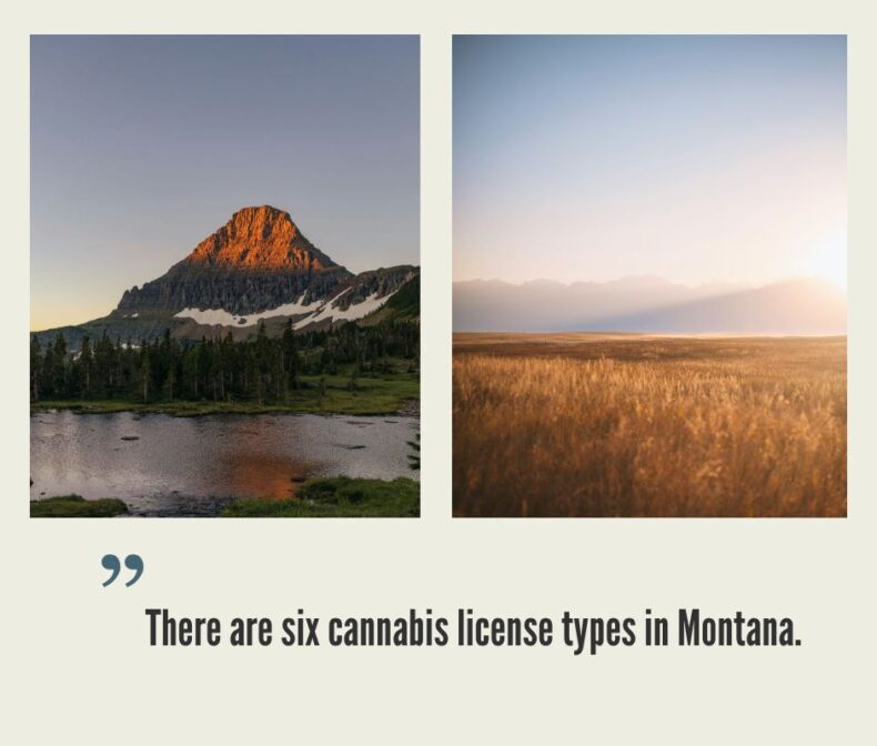 How to Start a Cannabis Business in Montana?