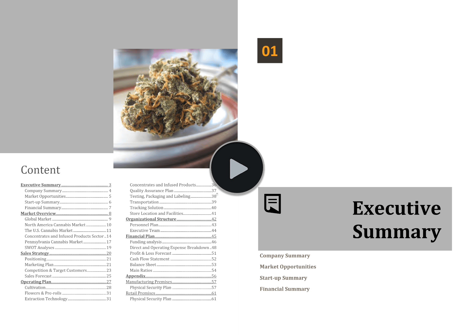 Pennsylvania Cannabis Business