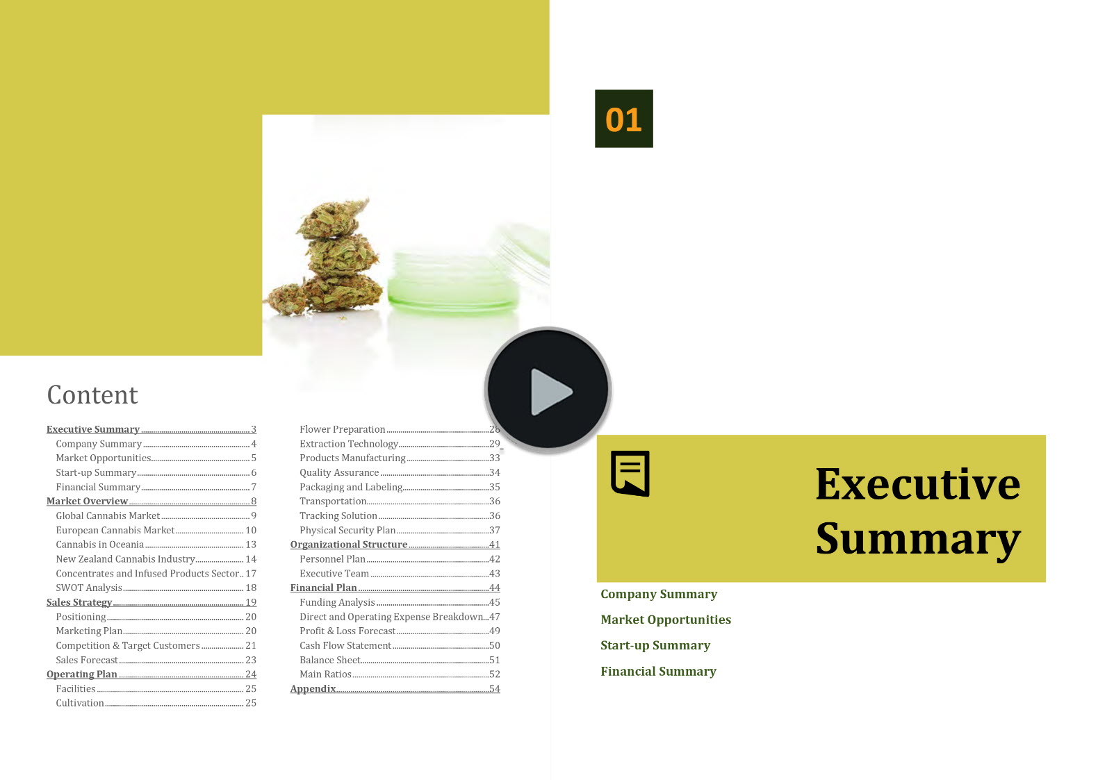 Cannabis Cultivation Extraction Manufacturing Business Plan Template