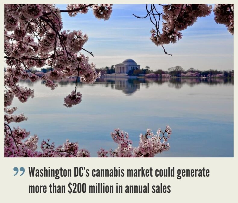 Washington DC Cannabis Market