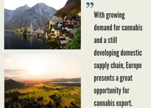 How to Export Medical Cannabis to Europe