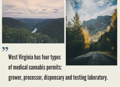 How to Start a Cannabis Business in West Virginia?