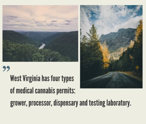 How to Start a Cannabis Business in West Virginia?
