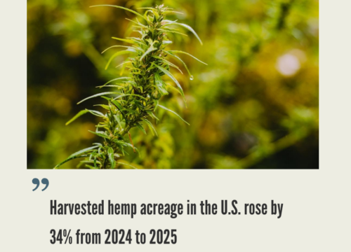 U.S. Hemp CBD Industry, Legalization and Opportunities