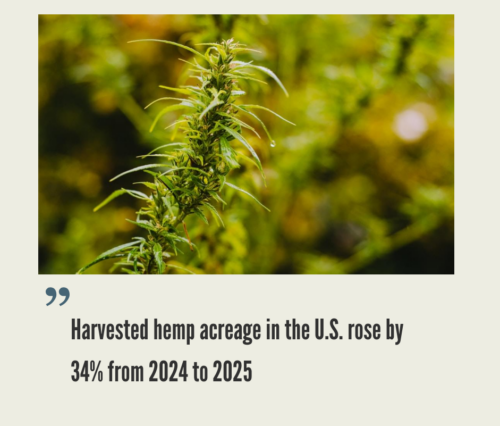 US Hemp Industry