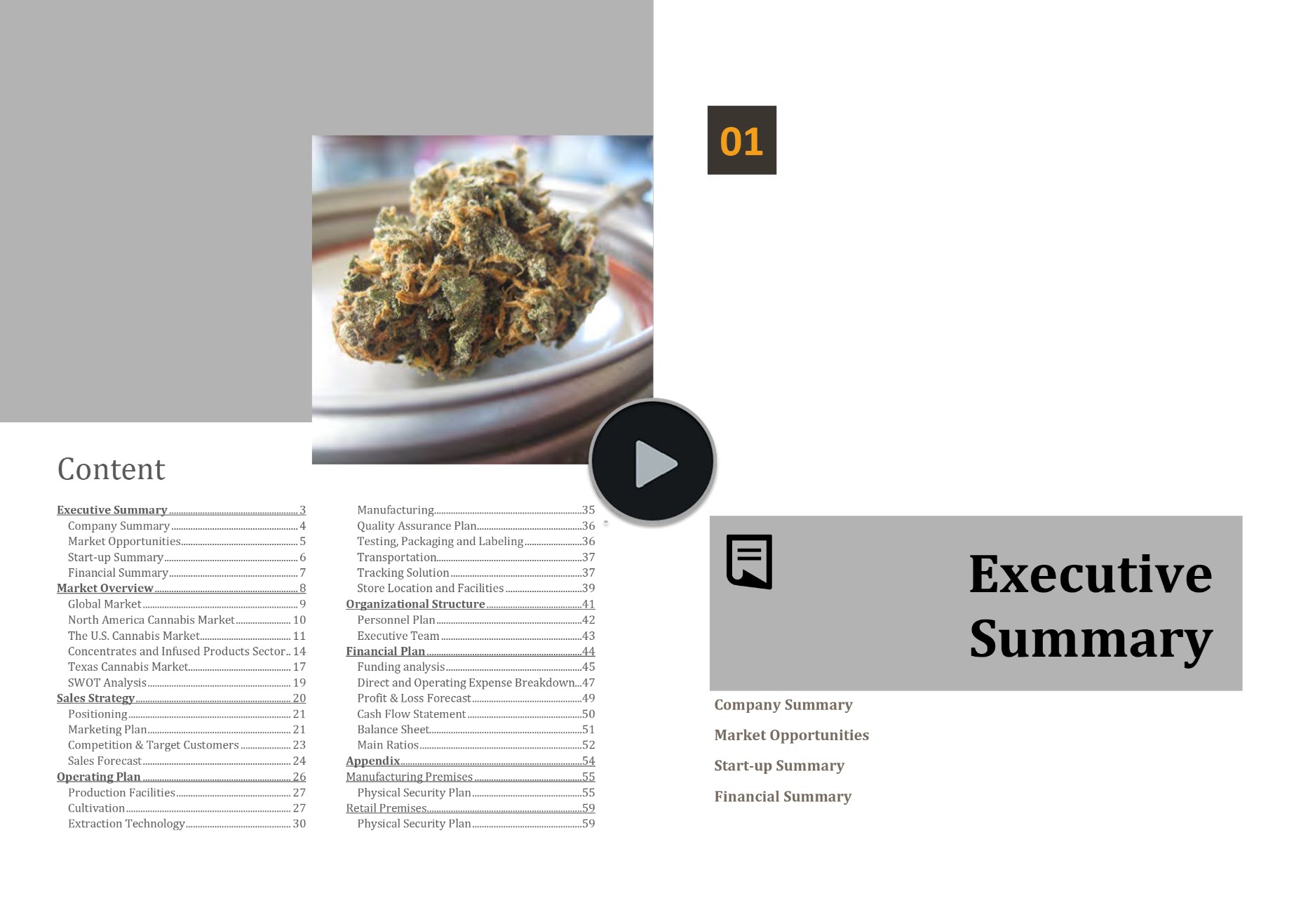 Texas Cannabis Market