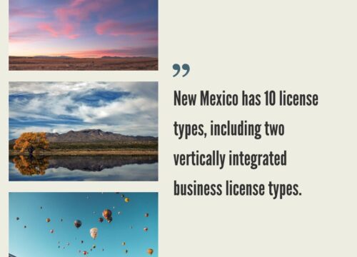 How to Start a Cannabis Business in New Mexico?