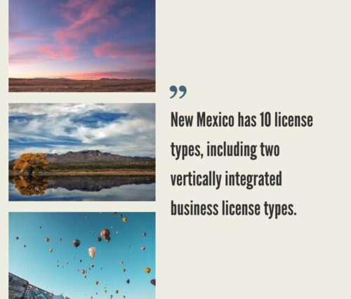 How to Start a Cannabis Business in New Mexico?