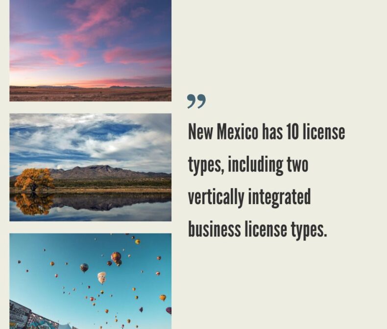 How to Start a Cannabis Business in New Mexico?