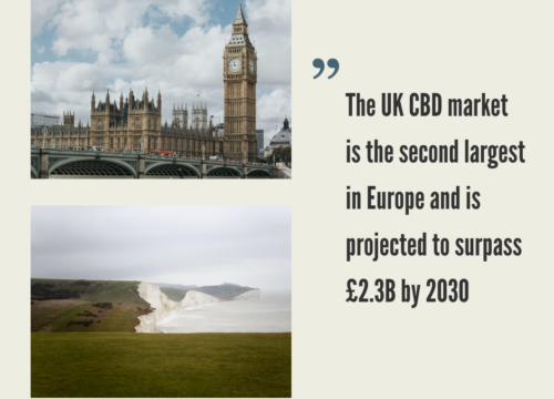 UK Hemp CBD Industry