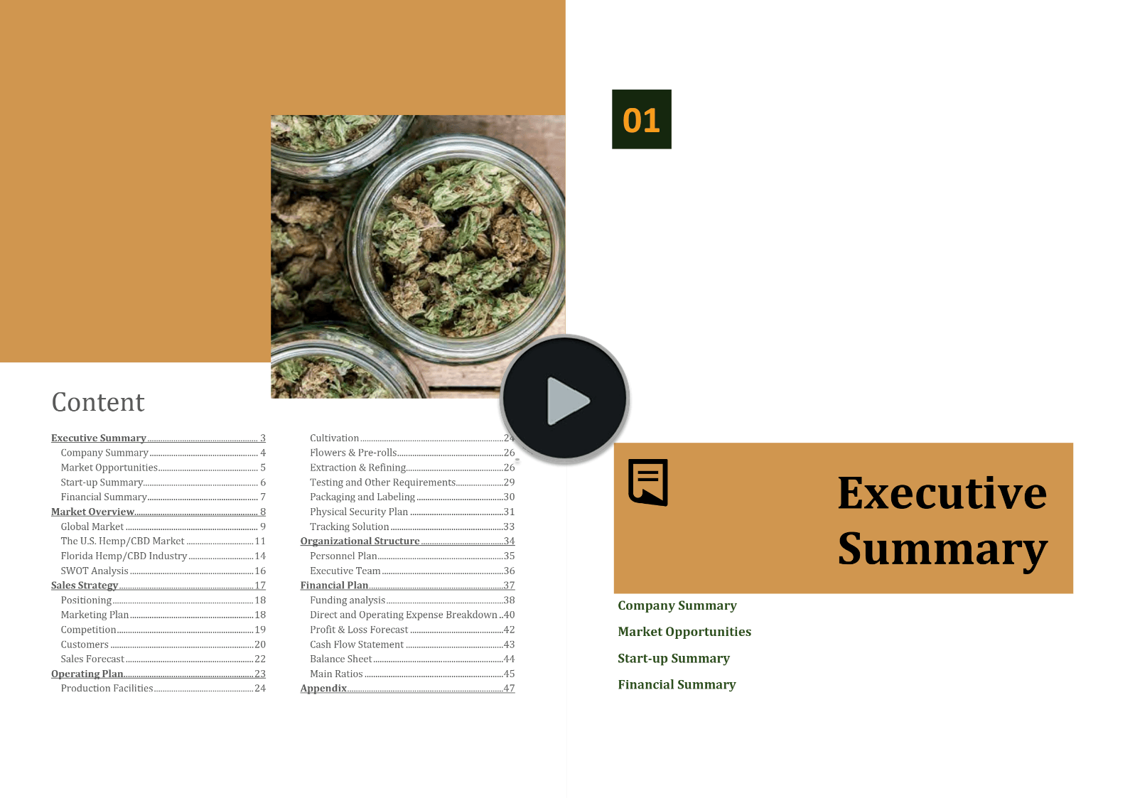 Hemp Nursery Cultivation Curing Extraction Business Plan