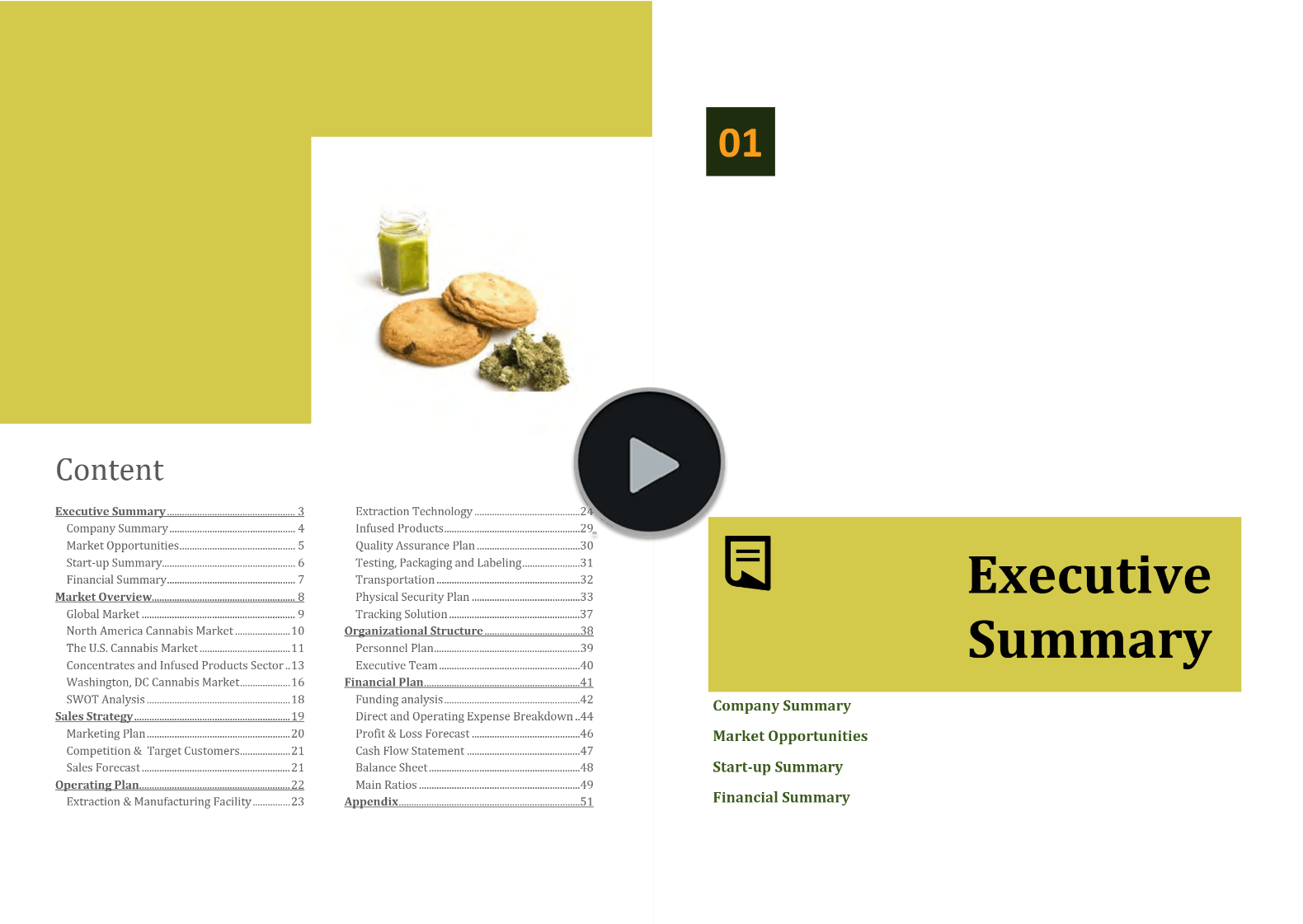 Cannabis Extraction Manufacturing Business Plan Template