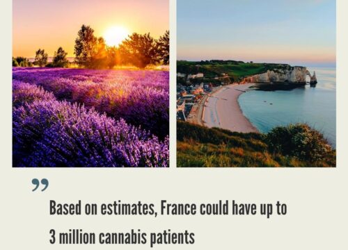 Cannabis Market in France
