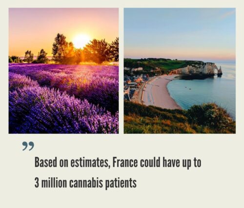 Cannabis Market in France