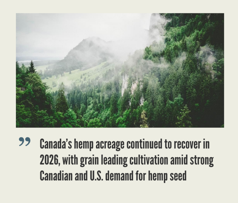 Canada Hemp Business, Legalization and Opportunities