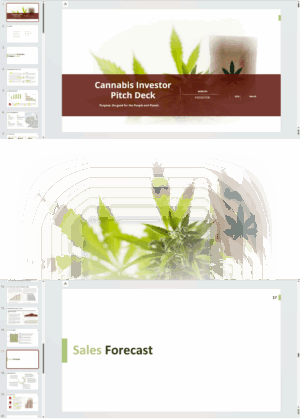 Cannabis Courier Investor Pitch Deck Template