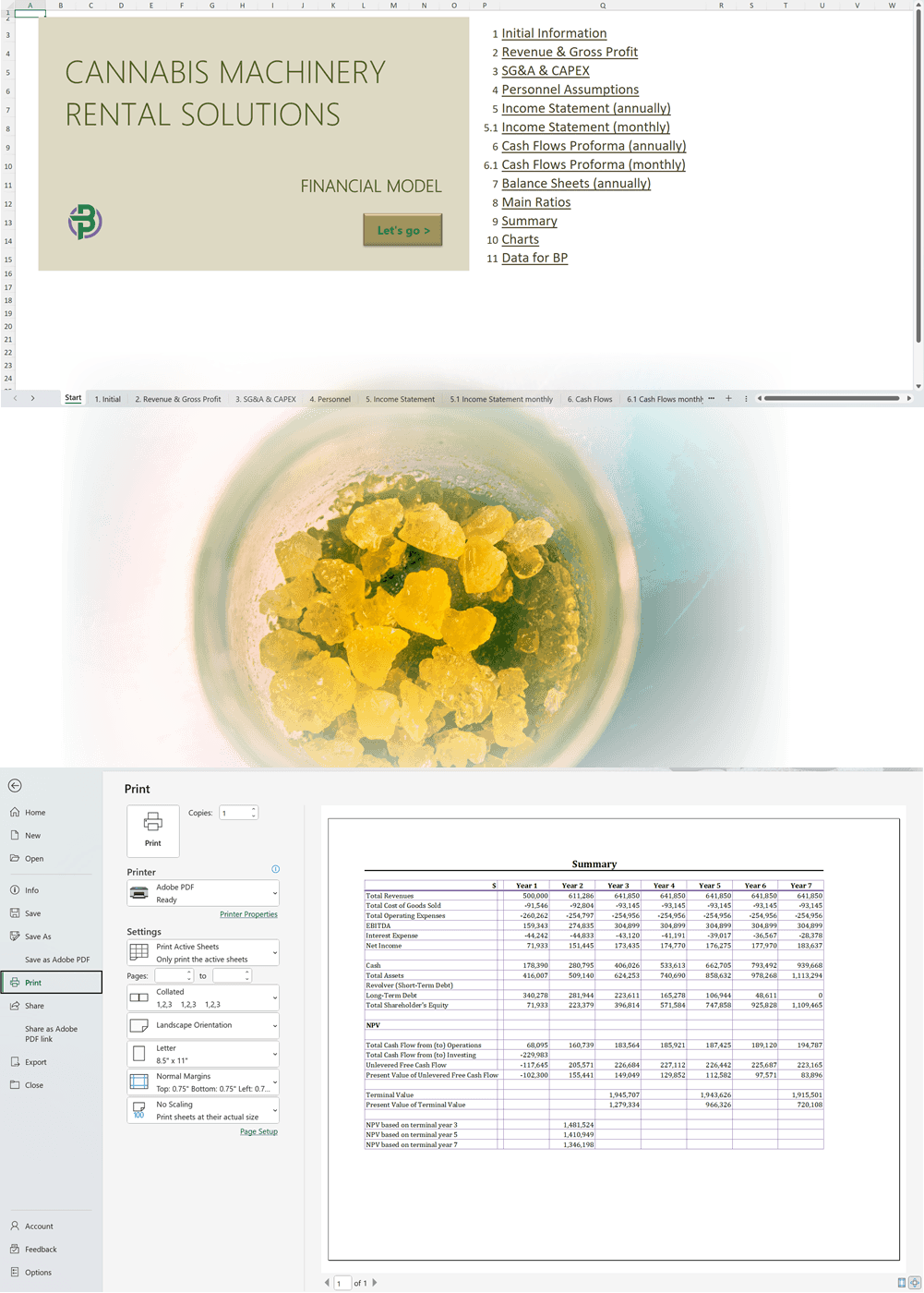 Cannabis Machinery Rental Solutions Financial Model