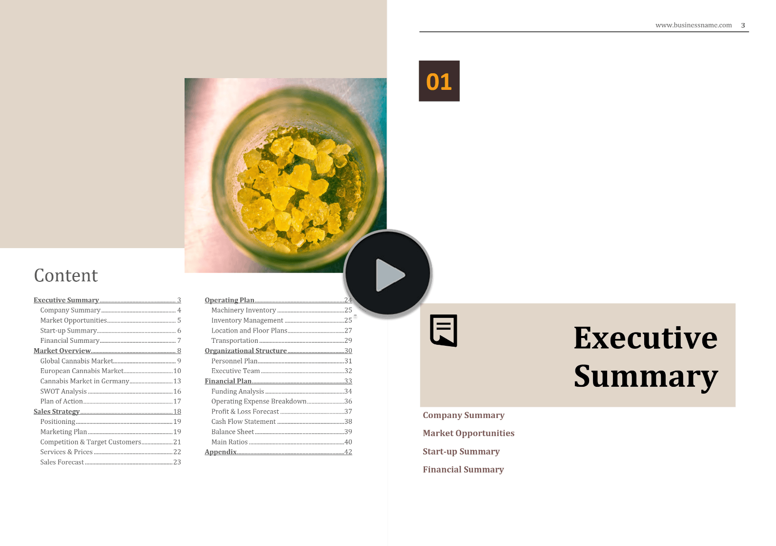 Cannabis Machinery Rental Solutions Business Plan Template