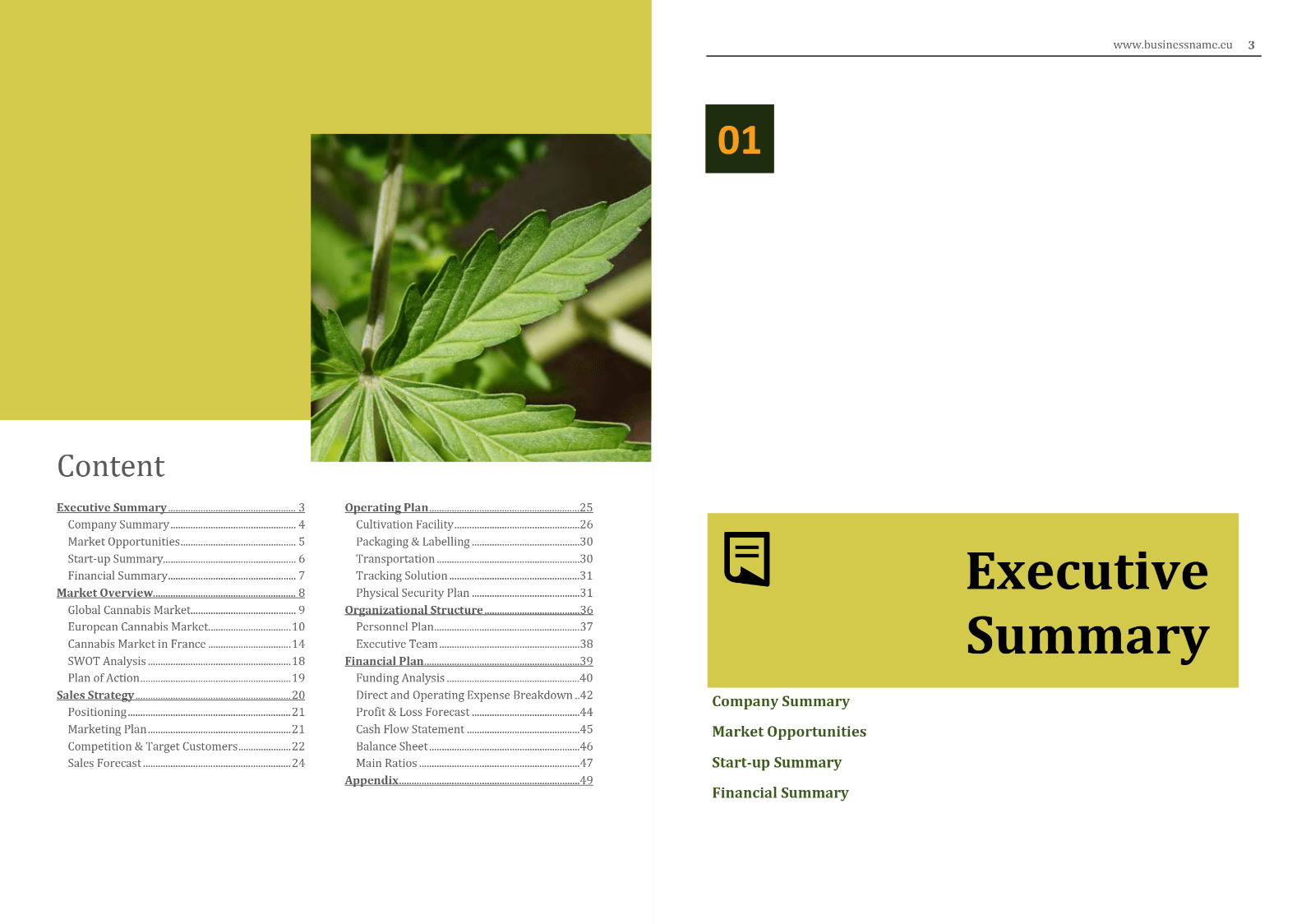 Europe cannabis business plan