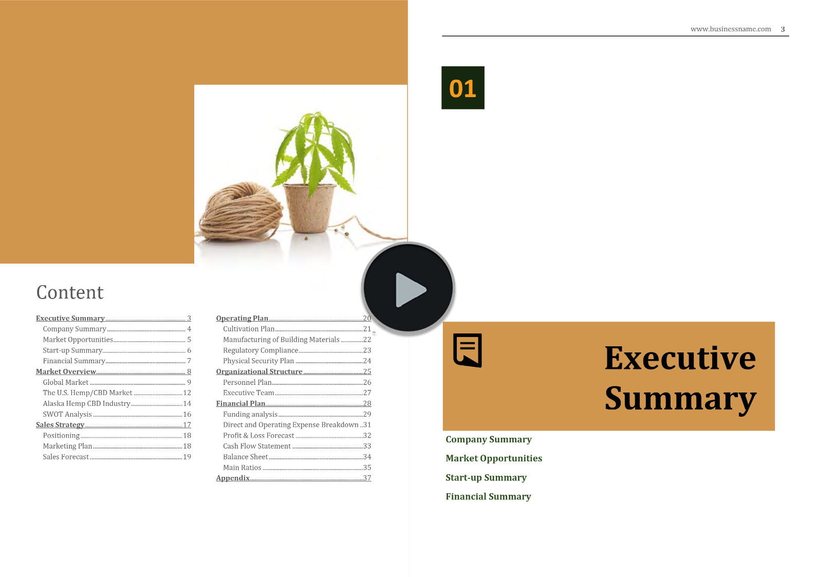 Hemp Fiber Manufacturing Business Plan Template