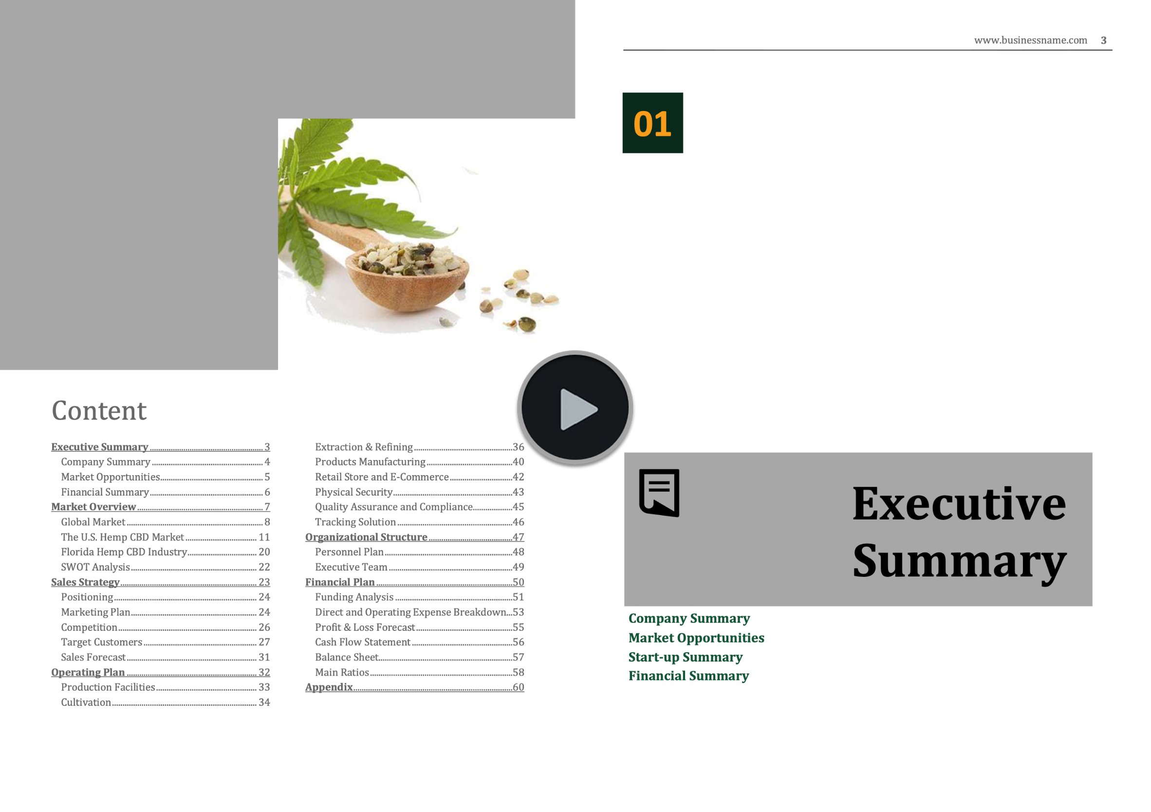 Hemp CBD Vertically Integrated Business Plan