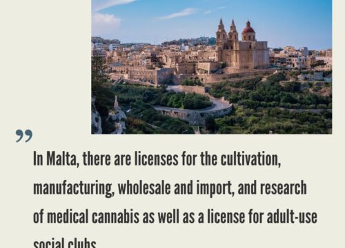 How to Start a Cannabis Business in Malta?