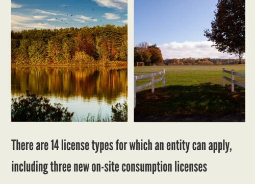 How to Start a Cannabis Business in Massachusetts?