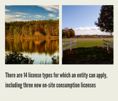 How to Start a Cannabis Business in Massachusetts?