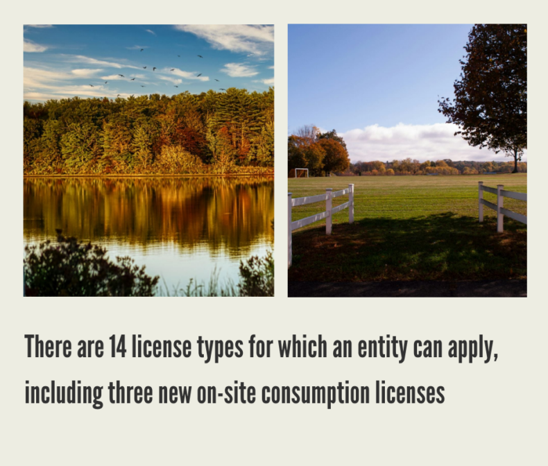 How to Start a Cannabis Business in Massachusetts?