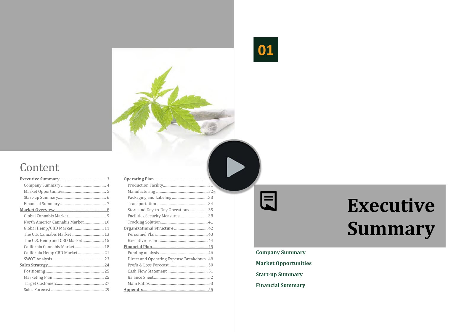 Cannabis Hemp Flowers Pre Rolls Business Plan Template
