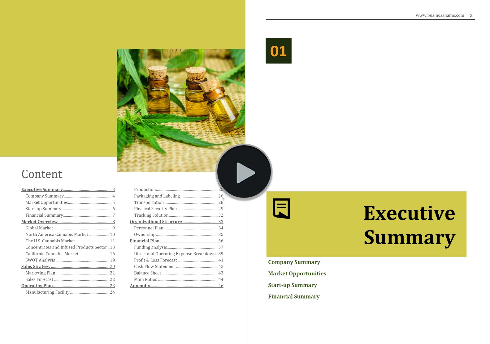 Cannabis Manufacturing Business Plan Template