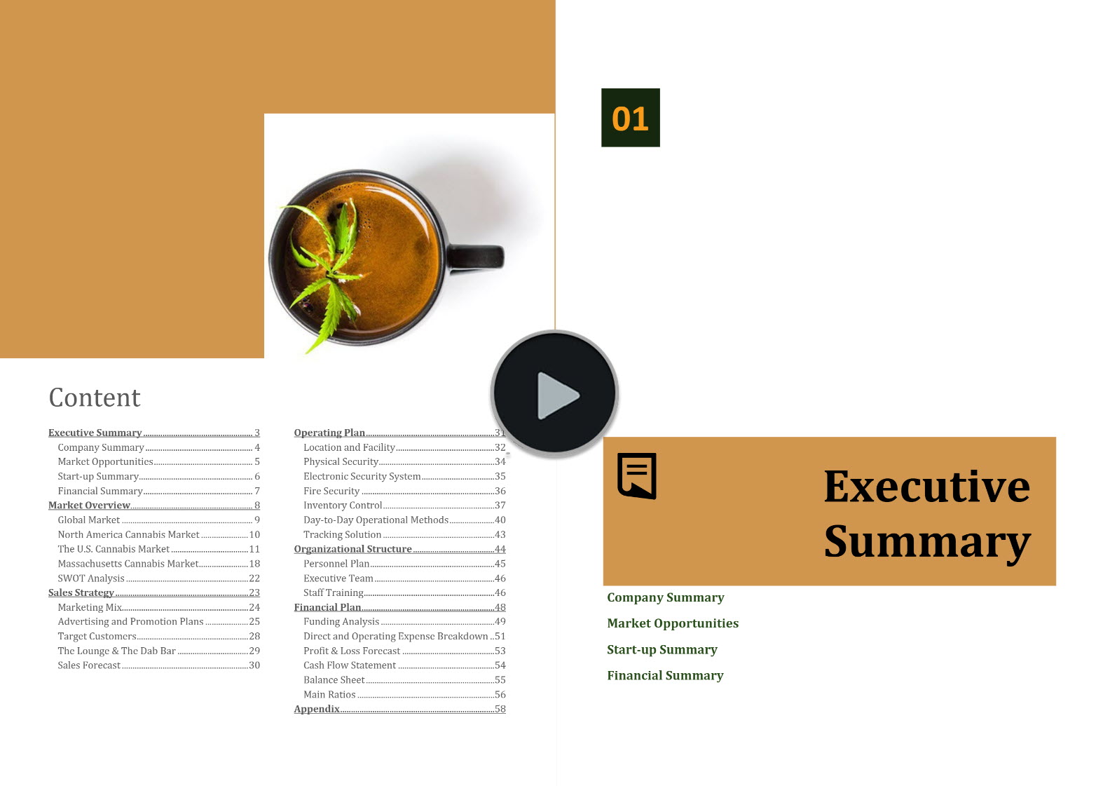 Cannabis Lounge Business Plan Template