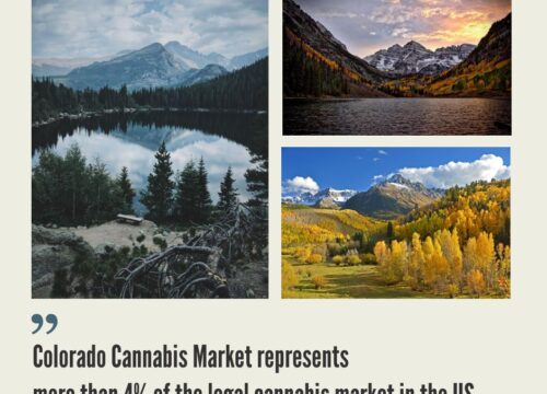 Colorado Cannabis Market