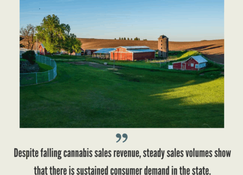 Washington Cannabis Market
