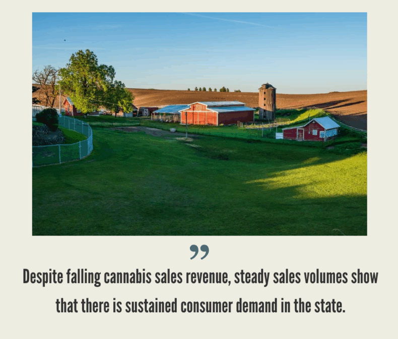 Washington Cannabis Market