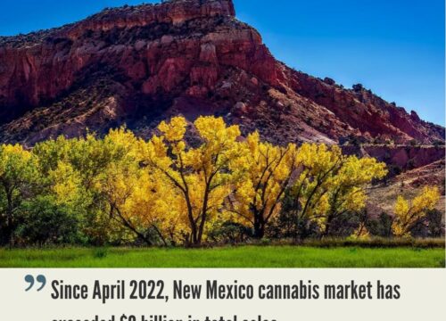 New Mexico Cannabis Market