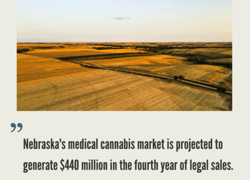 How to Start a Cannabis Business in Nebraska?