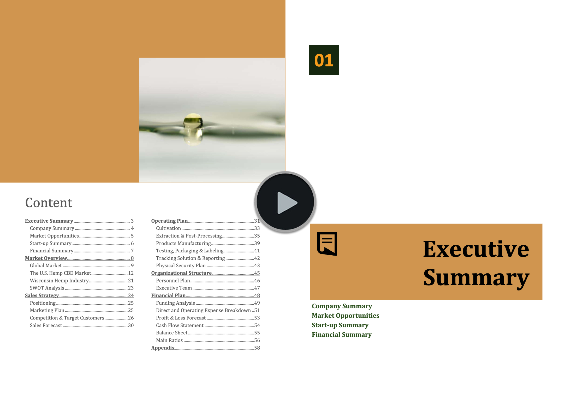 Hemp Cultivation Extraction Manufacturing Business Plan Template