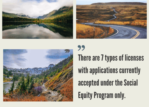 How to Start a Cannabis Business in Washington?