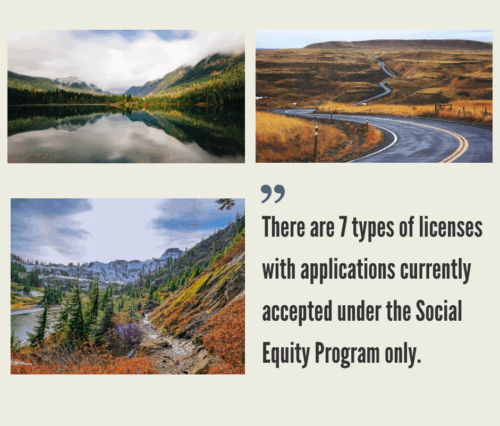 How to Start a Cannabis Business in Washington?