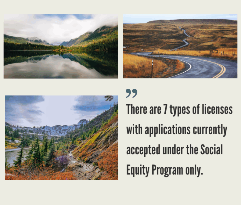 How to Start a Cannabis Business in Washington?