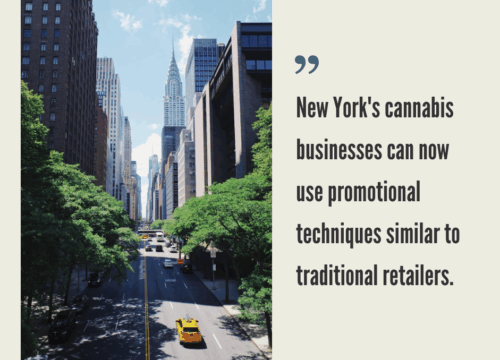 How to Start a Cannabis Business in New York?