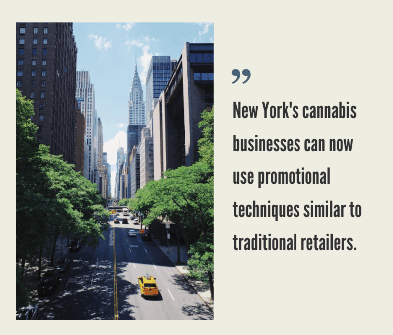 How to Start a Cannabis Business in New York?