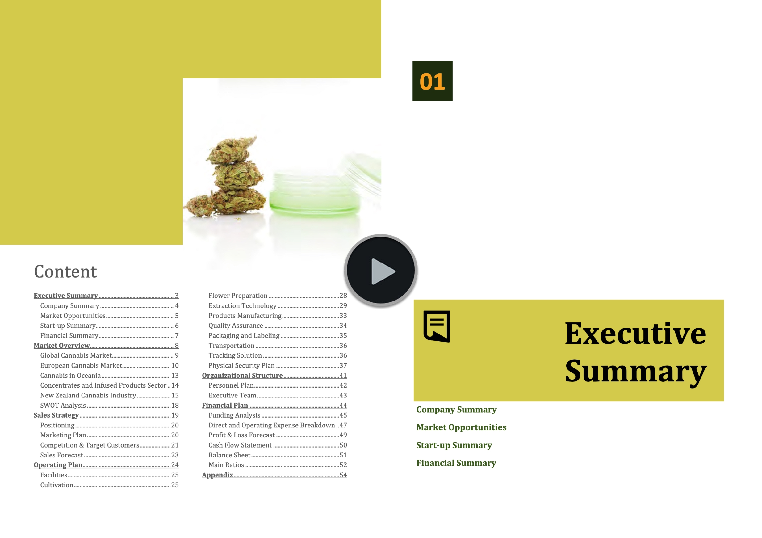 New Zealand Cannabis Industry