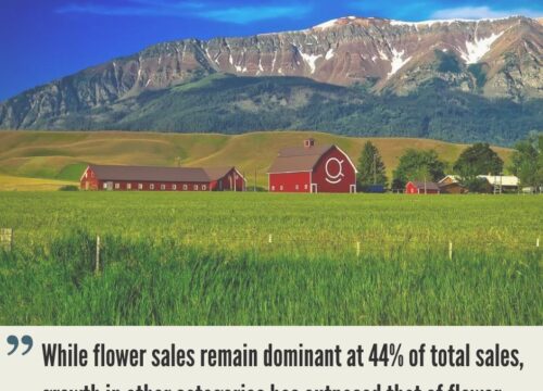 Oregon Cannabis Market