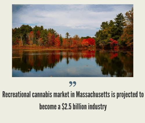 Massachusetts Cannabis Market