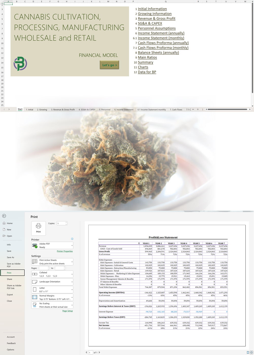 Vertically Integrated Cannabis Financial Model