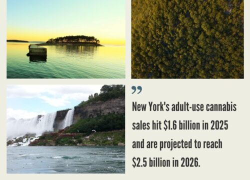 New York Cannabis Market