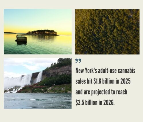 New York Cannabis Market